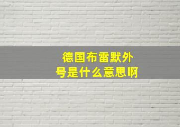 德国布雷默外号是什么意思啊