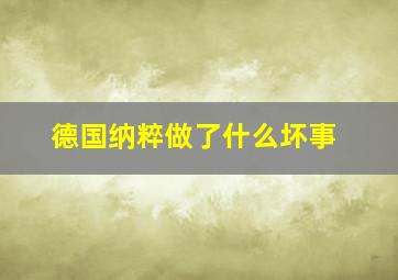 德国纳粹做了什么坏事