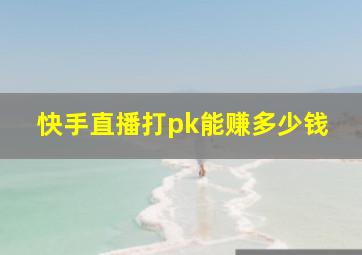 快手直播打pk能赚多少钱