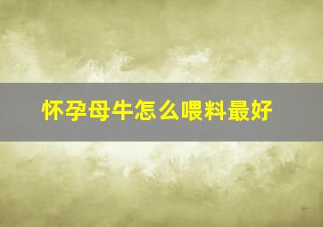 怀孕母牛怎么喂料最好