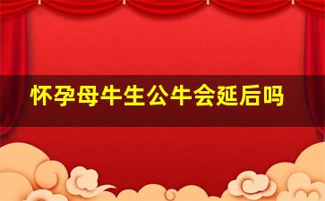 怀孕母牛生公牛会延后吗