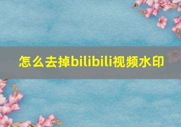 怎么去掉bilibili视频水印