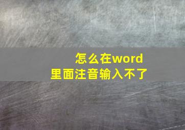 怎么在word里面注音输入不了