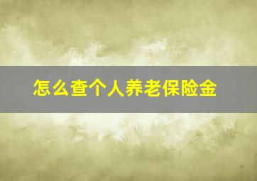 怎么查个人养老保险金