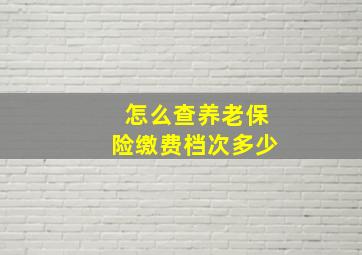 怎么查养老保险缴费档次多少