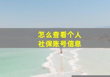 怎么查看个人社保账号信息