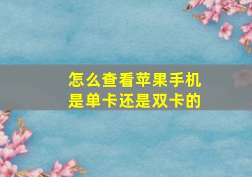 怎么查看苹果手机是单卡还是双卡的