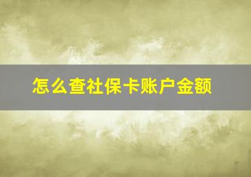 怎么查社保卡账户金额