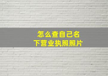 怎么查自己名下营业执照照片