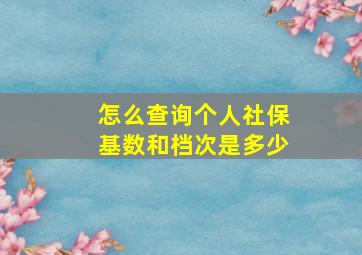 怎么查询个人社保基数和档次是多少