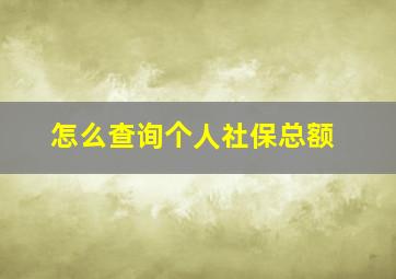 怎么查询个人社保总额