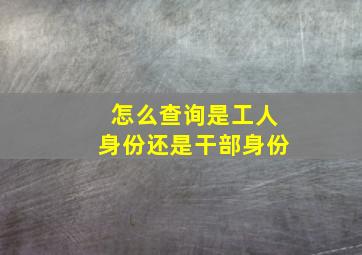 怎么查询是工人身份还是干部身份