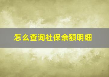 怎么查询社保余额明细