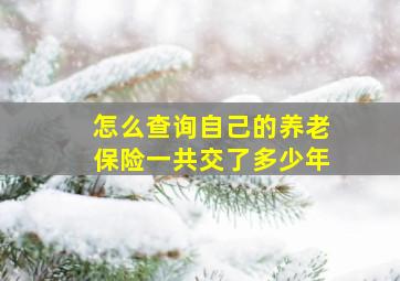 怎么查询自己的养老保险一共交了多少年