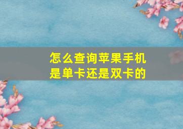 怎么查询苹果手机是单卡还是双卡的