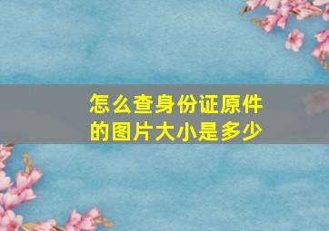 怎么查身份证原件的图片大小是多少