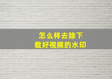 怎么样去除下载好视频的水印