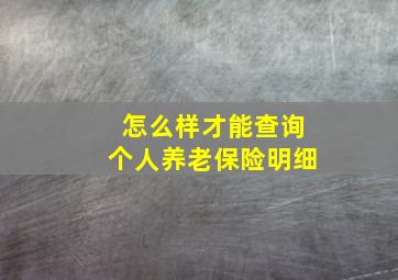 怎么样才能查询个人养老保险明细