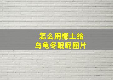 怎么用椰土给乌龟冬眠呢图片