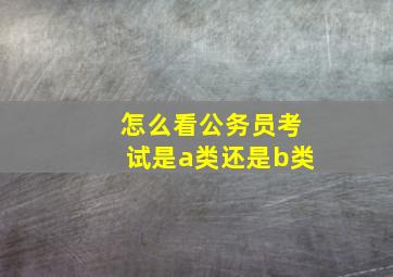 怎么看公务员考试是a类还是b类