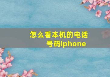 怎么看本机的电话号码iphone