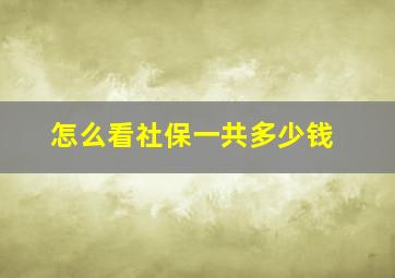 怎么看社保一共多少钱