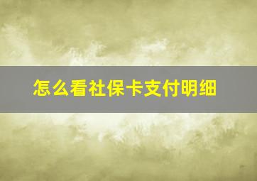 怎么看社保卡支付明细