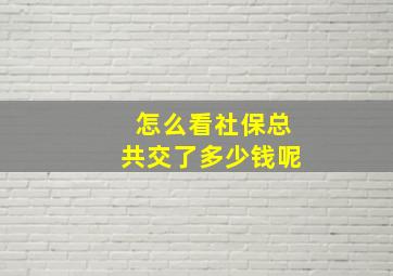 怎么看社保总共交了多少钱呢