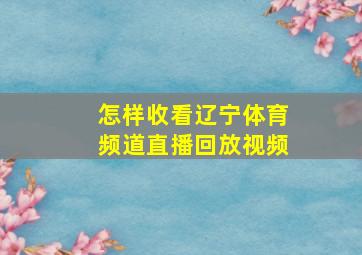 怎样收看辽宁体育频道直播回放视频