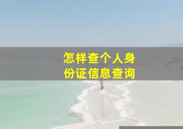 怎样查个人身份证信息查询