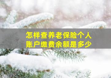 怎样查养老保险个人账户缴费余额是多少