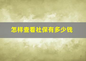 怎样查看社保有多少钱