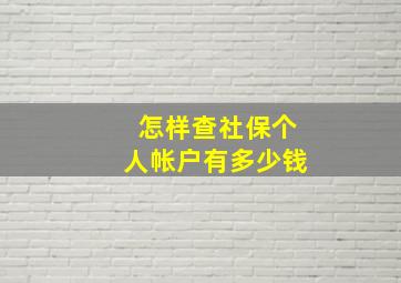 怎样查社保个人帐户有多少钱