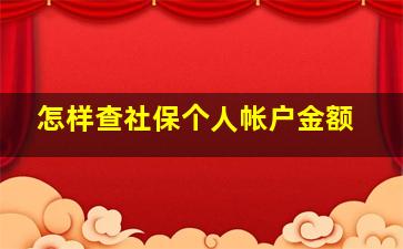 怎样查社保个人帐户金额