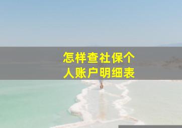 怎样查社保个人账户明细表