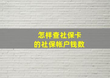 怎样查社保卡的社保帐户钱数