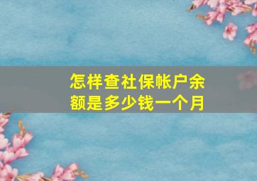 怎样查社保帐户余额是多少钱一个月