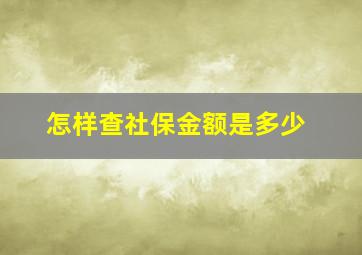 怎样查社保金额是多少