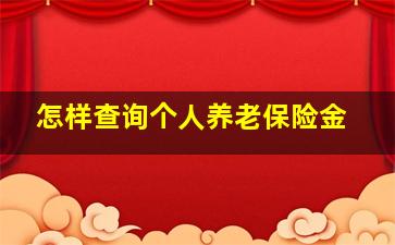 怎样查询个人养老保险金