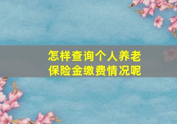 怎样查询个人养老保险金缴费情况呢