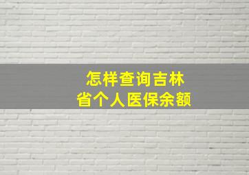 怎样查询吉林省个人医保余额