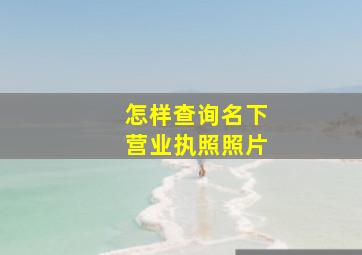 怎样查询名下营业执照照片