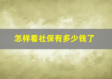 怎样看社保有多少钱了