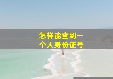 怎样能查到一个人身份证号