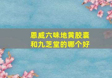 恩威六味地黄胶囊和九芝堂的哪个好