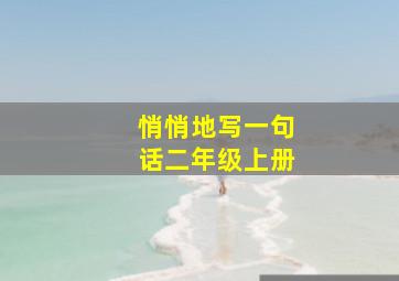 悄悄地写一句话二年级上册