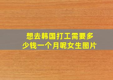 想去韩国打工需要多少钱一个月呢女生图片