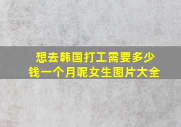 想去韩国打工需要多少钱一个月呢女生图片大全