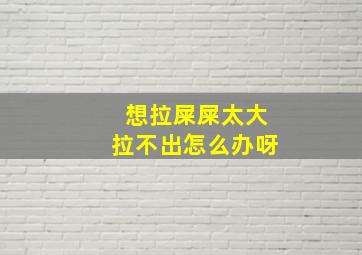 想拉屎屎太大拉不出怎么办呀