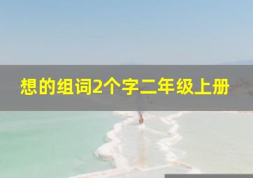 想的组词2个字二年级上册